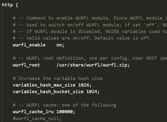 NGINX Plus Config